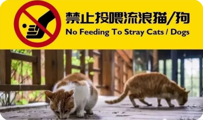 业主朋友，请勿在小区内投喂流浪猫、流浪狗！